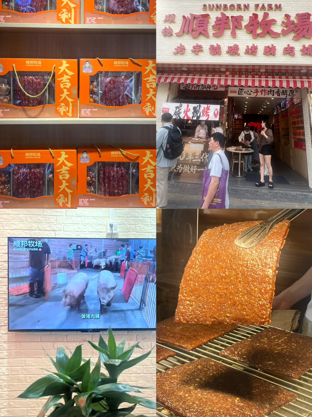 佛山 顺邦牧场🐷