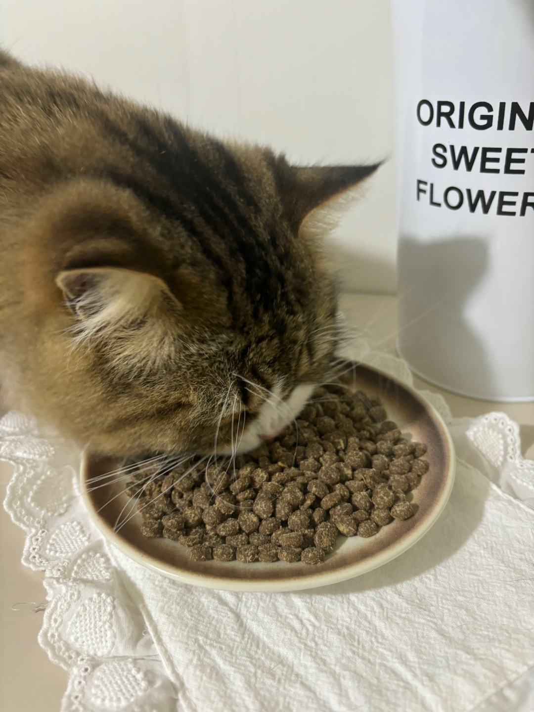 ヽ(^0^)ノ(^_^)ノ( ´ ▽ ` )ノ~(＾◇^)/(^_^)ノ