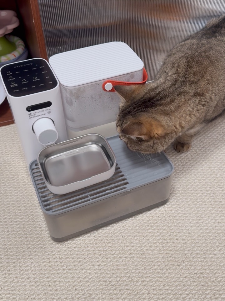我家猫以前总爱偷喝我杯子里的水，买了饮水机后，它天天守着流水喝，唯独还是执着偷我杯子水，仿佛饮水机是正经水，我杯子是快乐水。