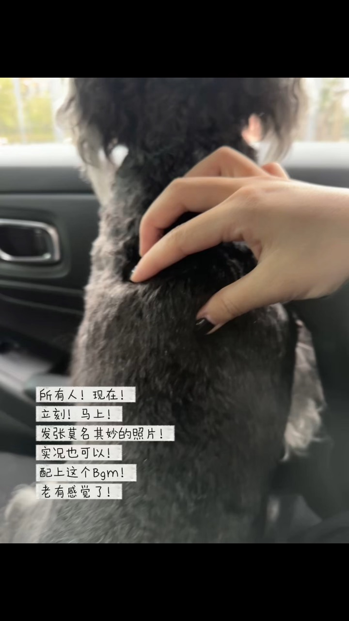 速速速把你的图发我