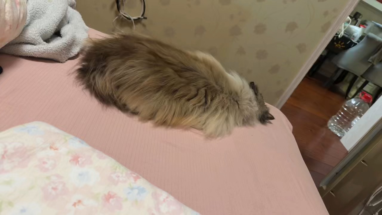 哈哈哈哈哈哈哈哈哈哈哈哈，笑死我了，哈哈哈哈哈哈哈，笑死我了，哈哈哈哈哈哈哈，笑死我了，哈哈哈哈