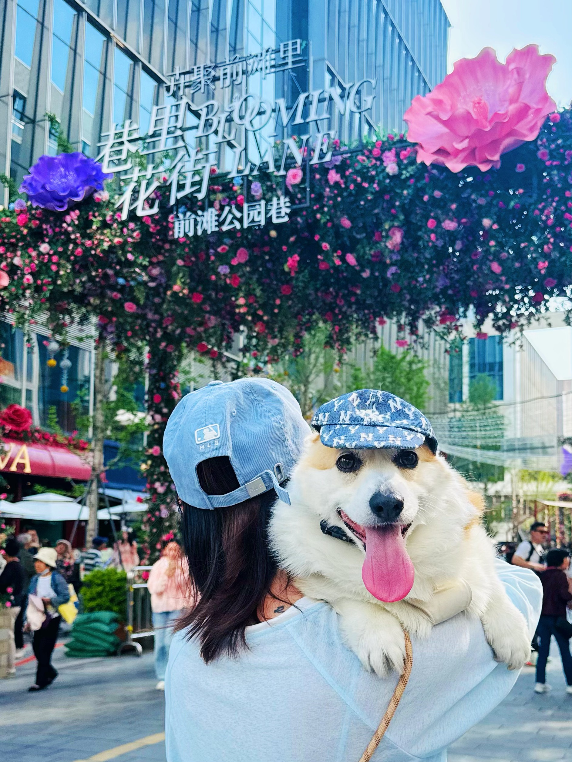 春日去前滩和小狗一起chill walk