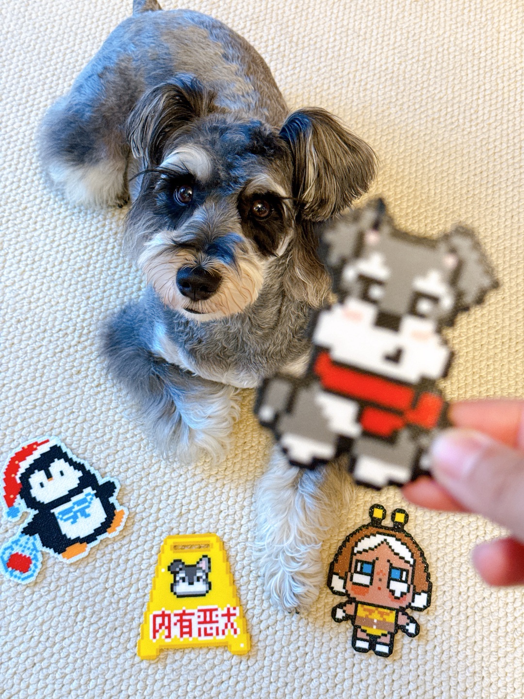 养宠人染上拼豆实现小狗周边自由