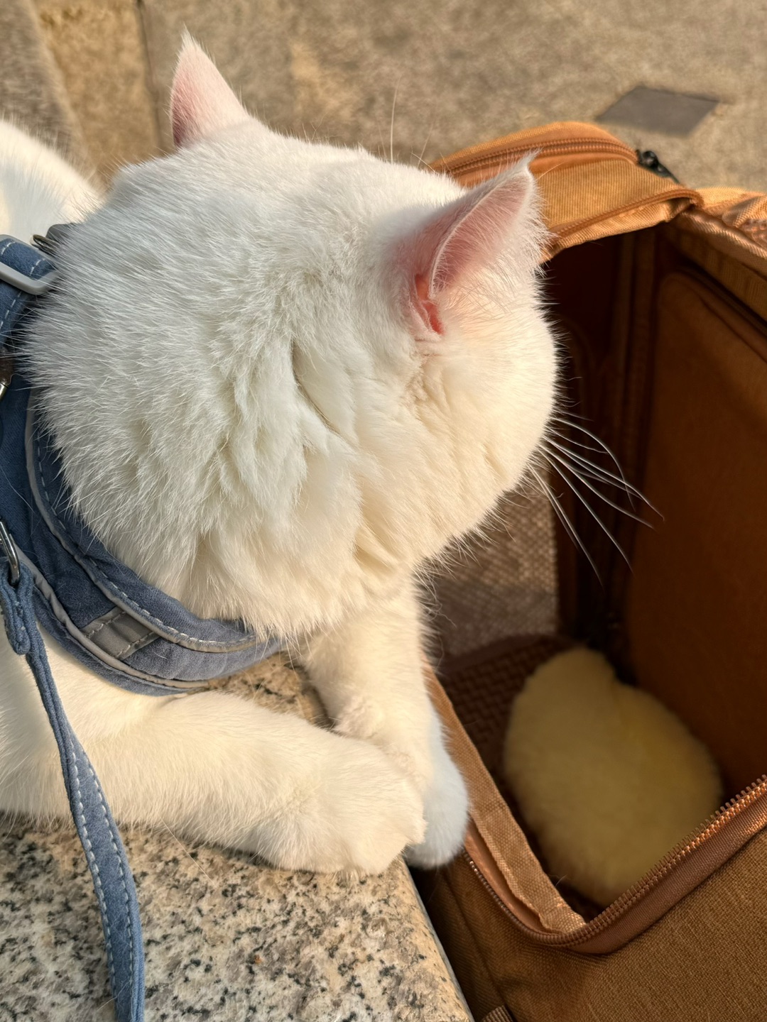 西五街