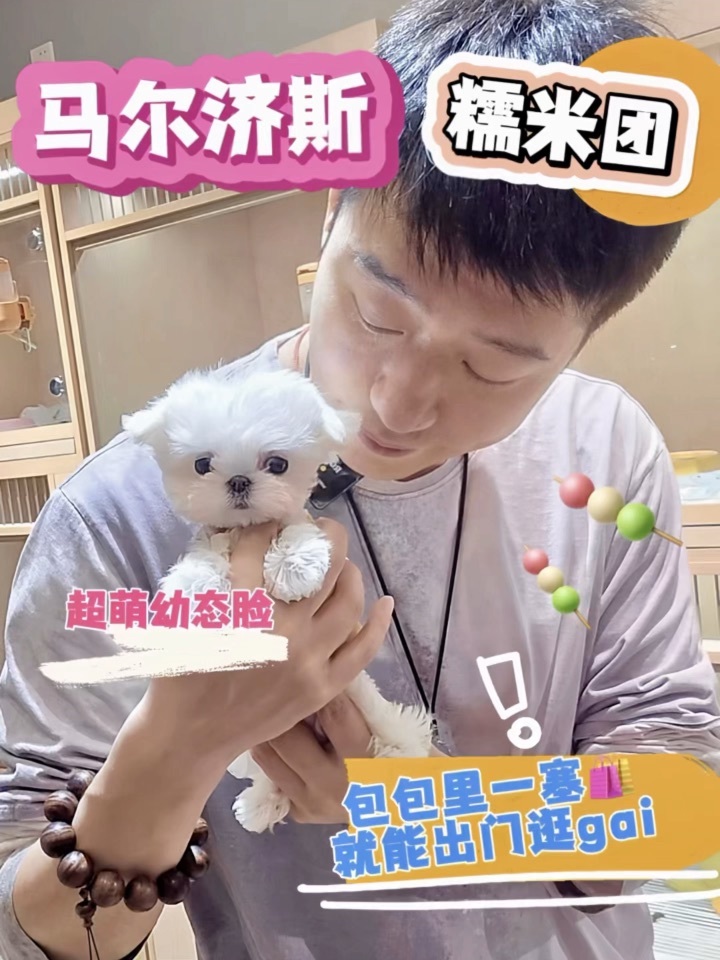 揣兜里就走的糯米团子🍡3秒被这幼态脸拿捏～