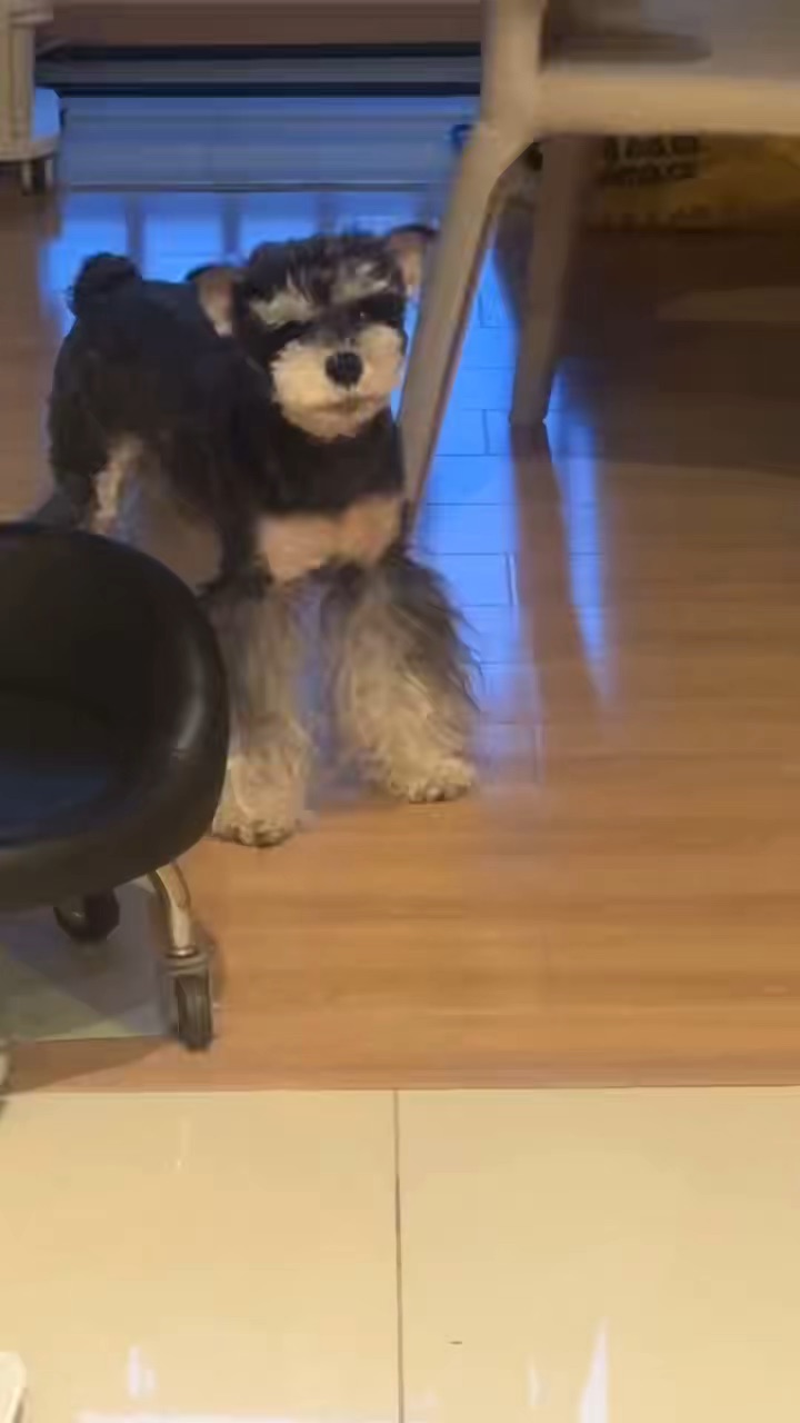 当你下班回来晚了