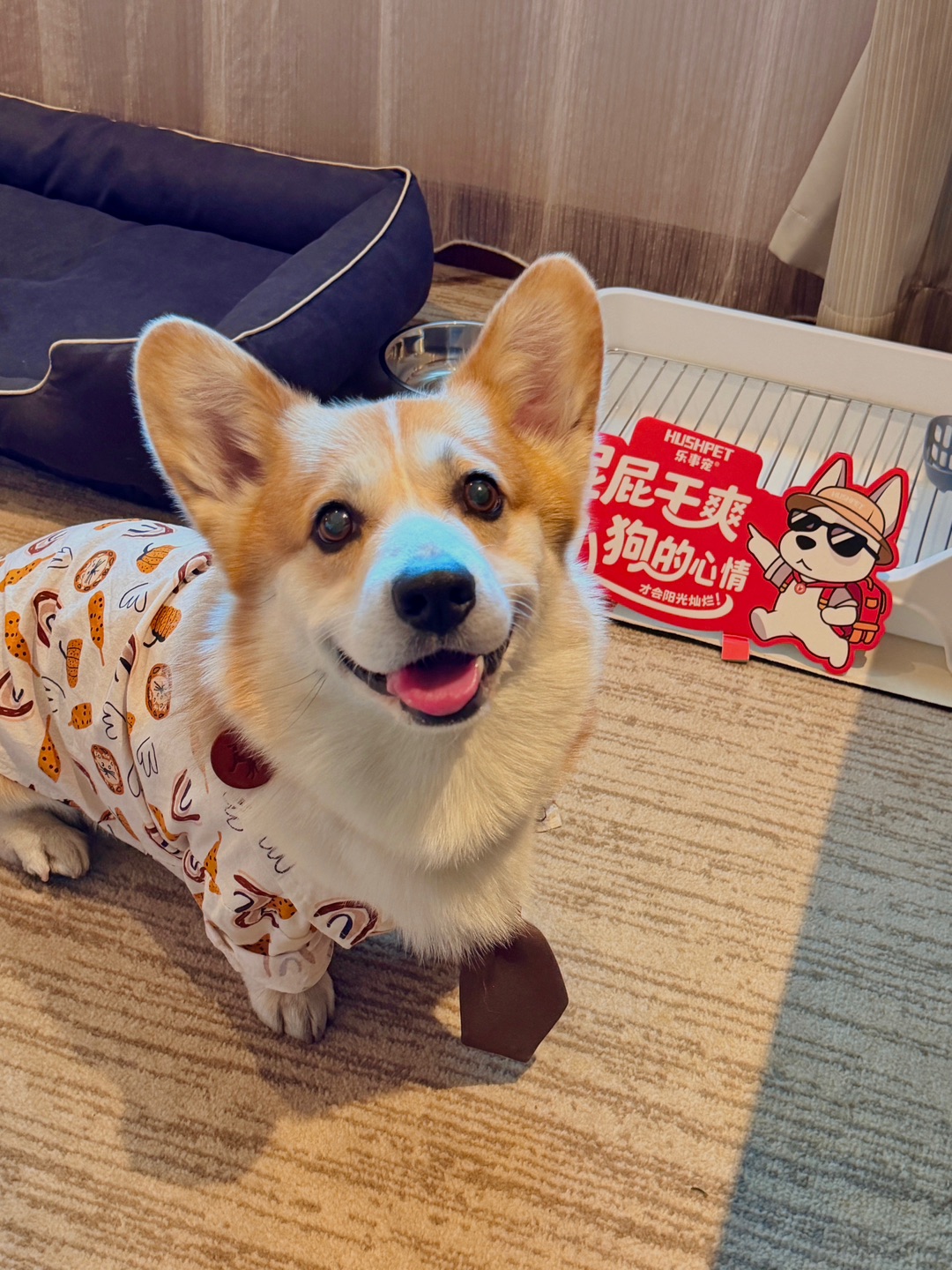 西五街
