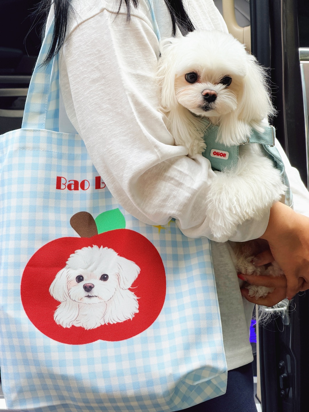 追星女养的狗怎么能没物料呢🛍️