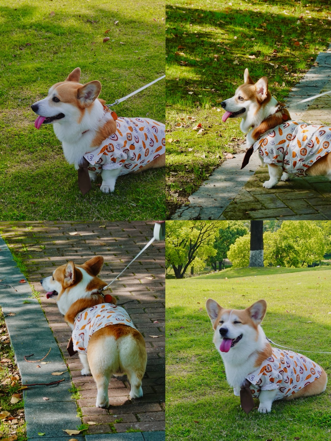 西五街