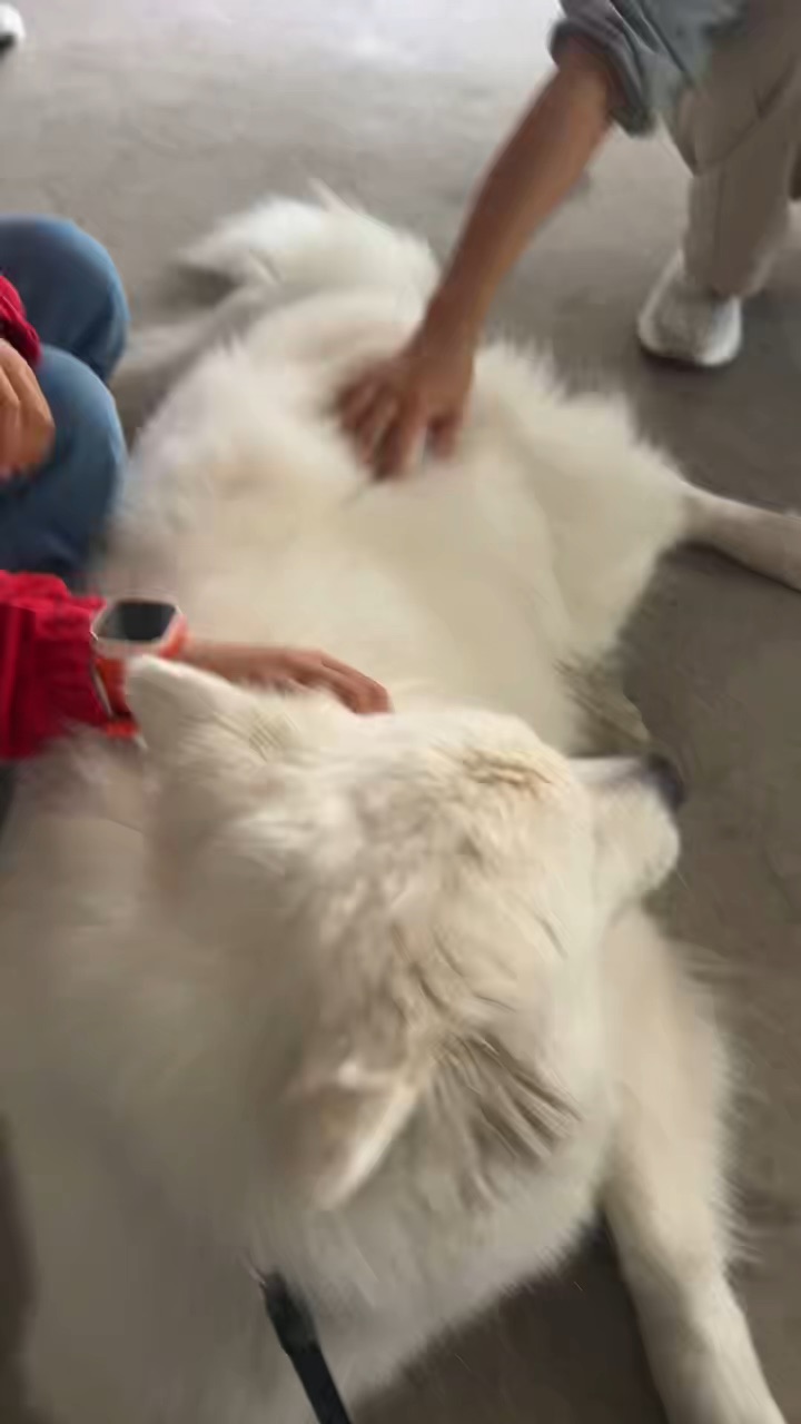 营业时间～