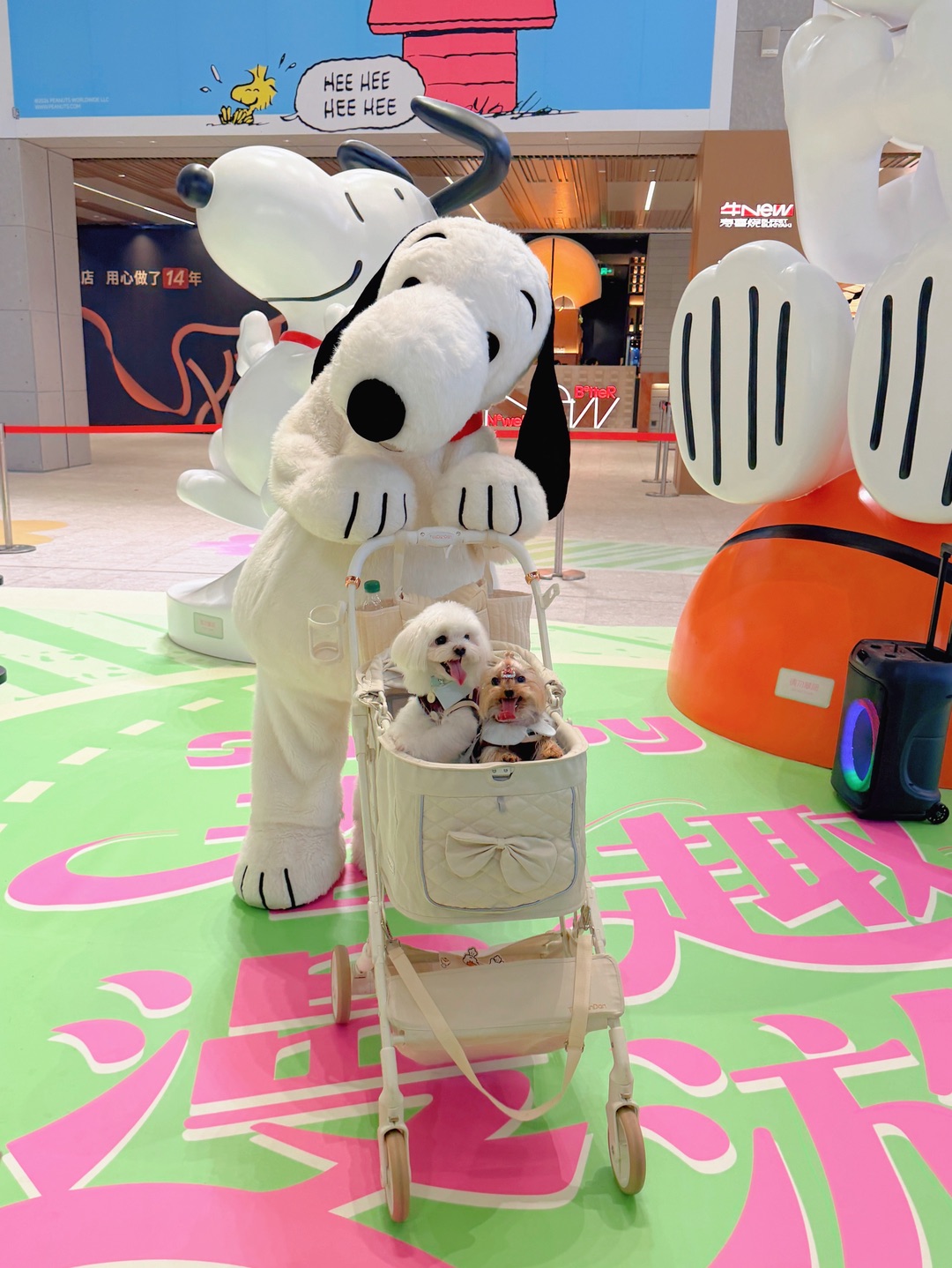 狗推狗名场面｜在国华广场被Snoopy萌化了✨