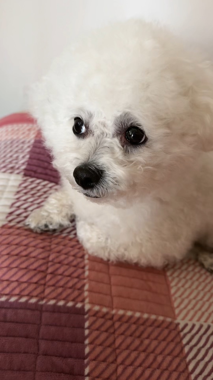 补3