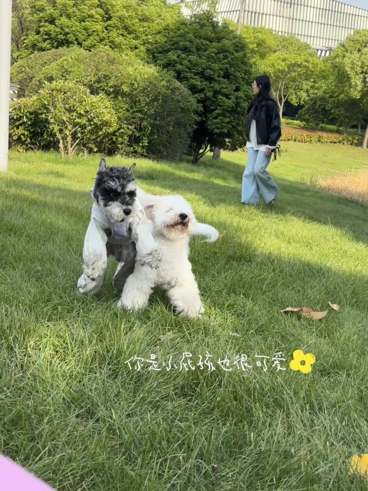 五一怎么过