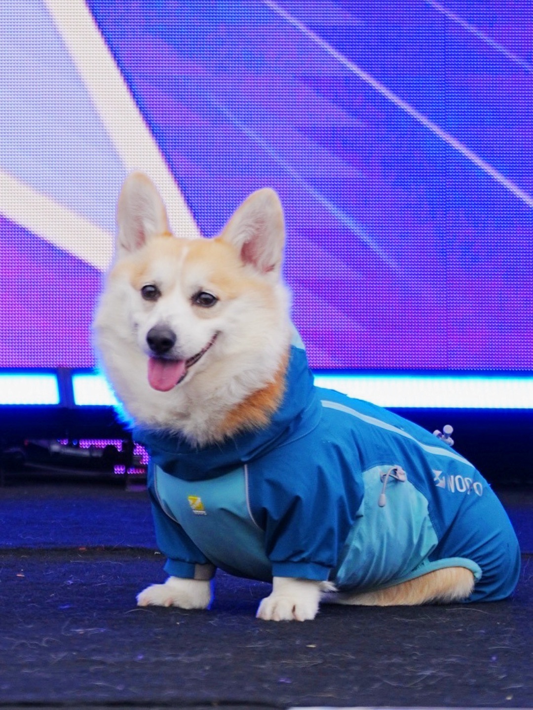 西五街