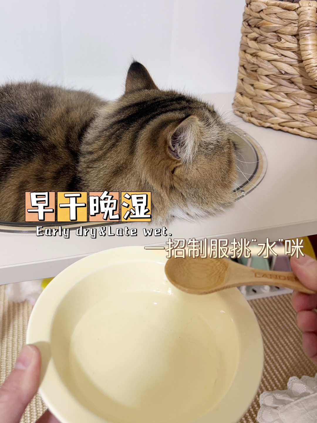 Hi~ o(*￣▽￣*)ブ*\(๑• ₃ •๑)*\(๑• ₃ •๑)