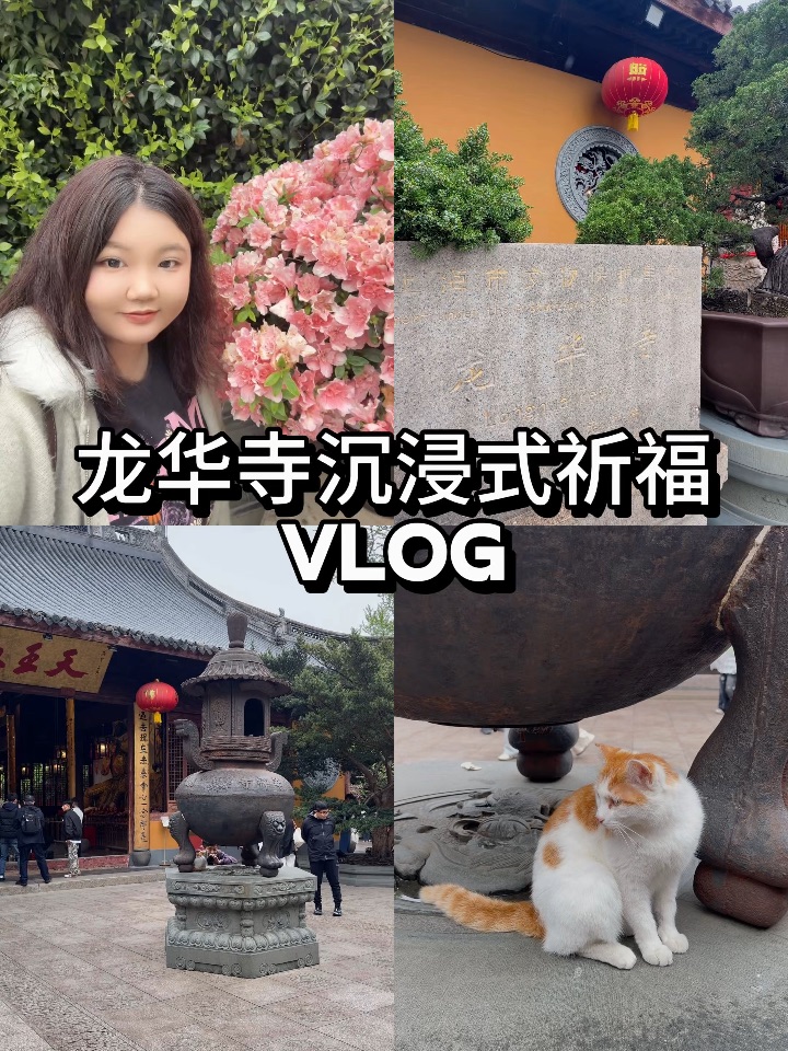 i人治愈vlog｜龙华寺沉浸式祈福、看猫