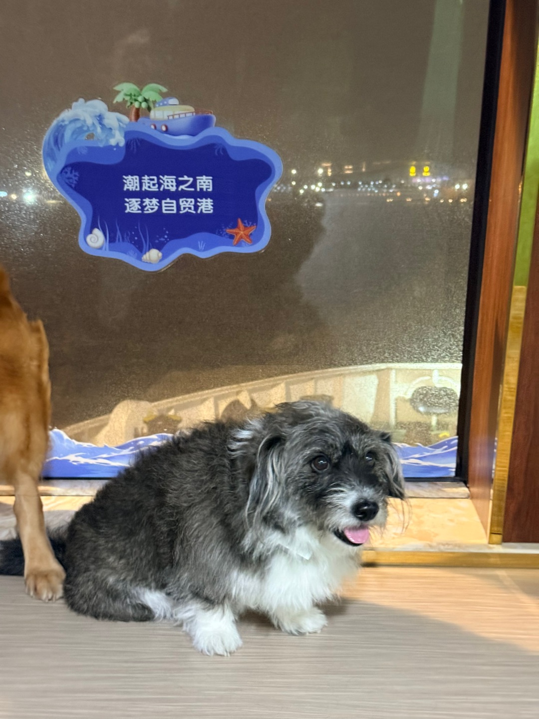 西五街