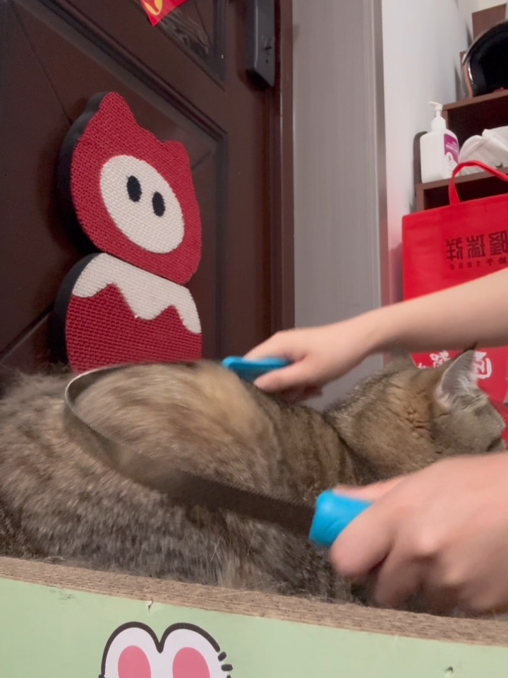 新梳毛工具，猫咪很喜欢用～啦啦啦啦啦