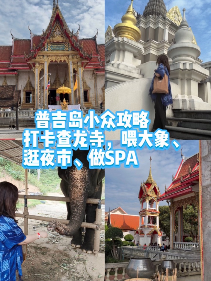 普吉岛🇹🇭小众攻略：查龙寺、大象基地、夜市