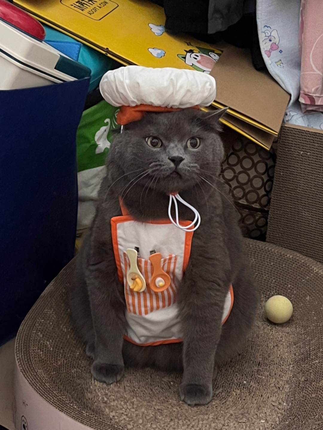👩🍳