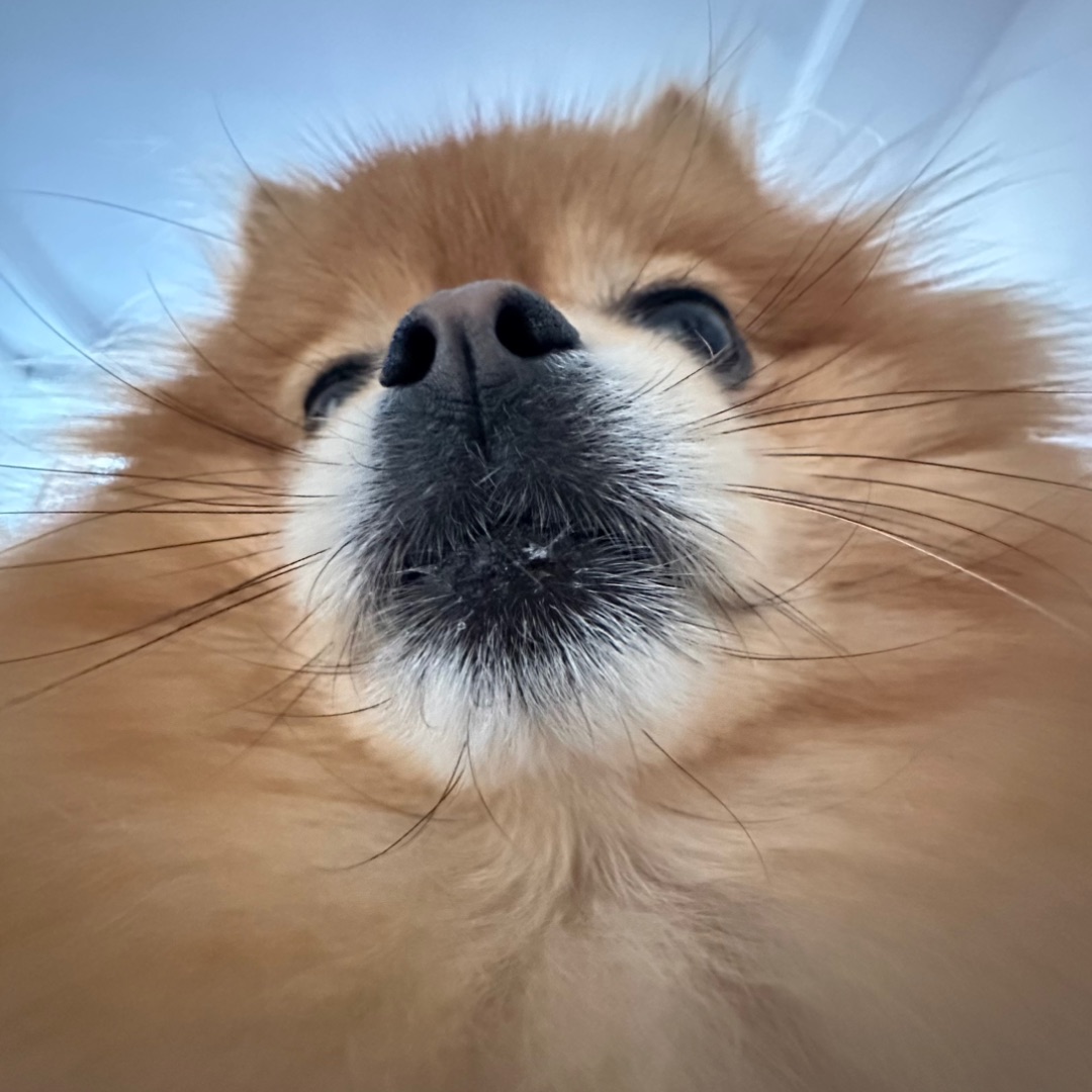 这是什么雷霆角度！！！