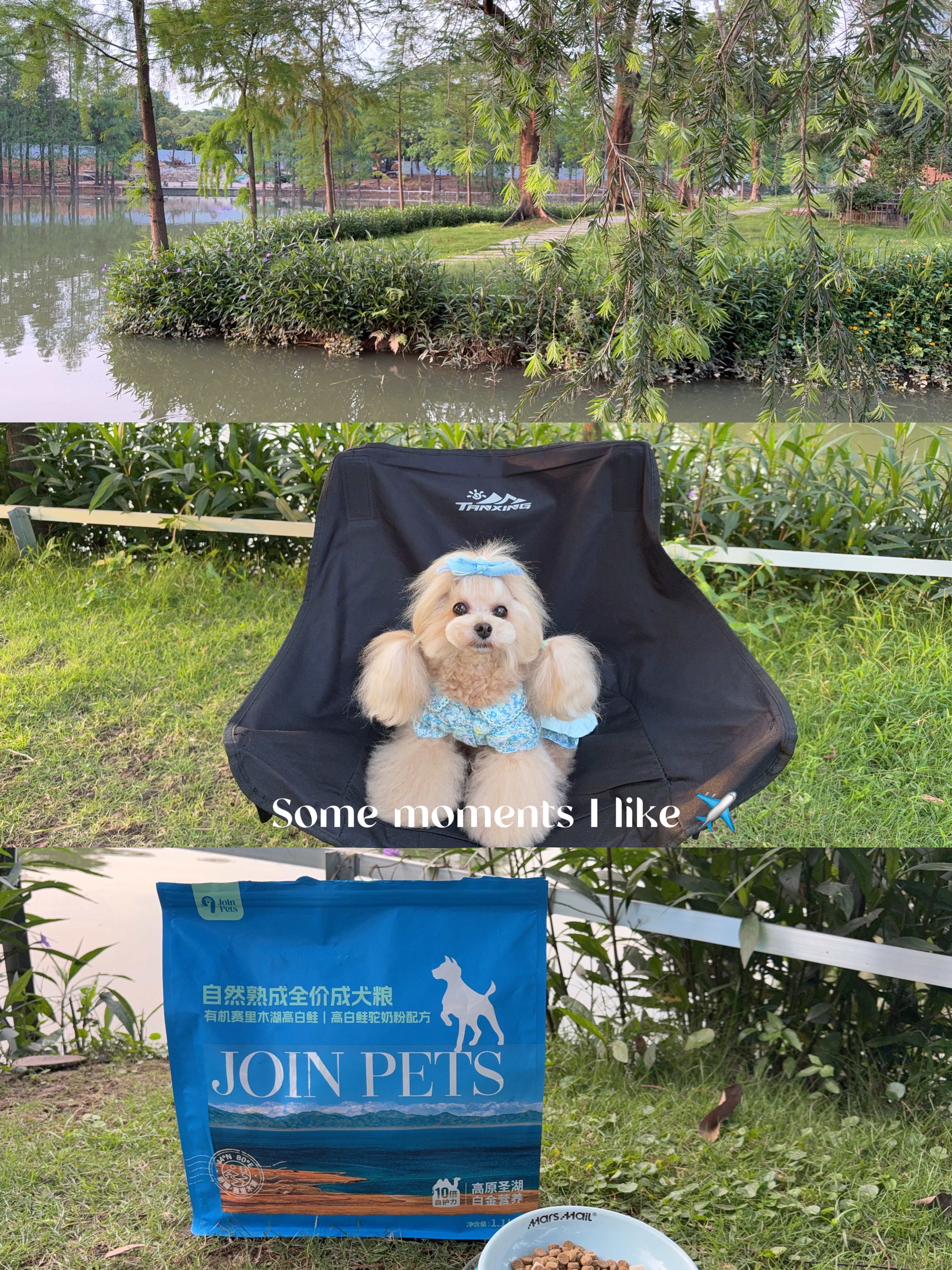 赛里木湖你都没去过！白活了