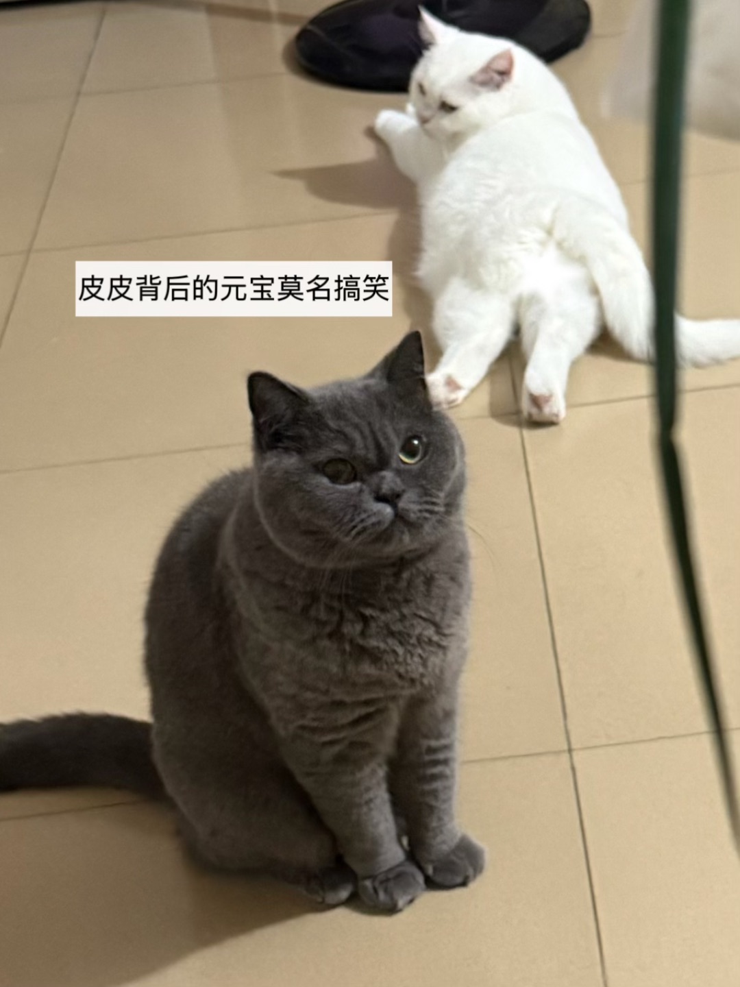 西五街