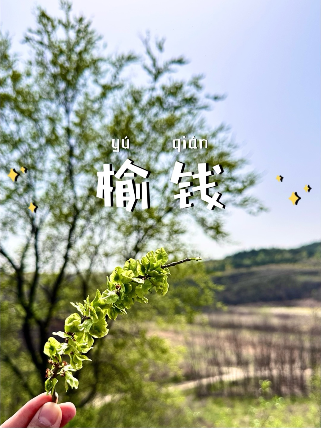 4月限定美食