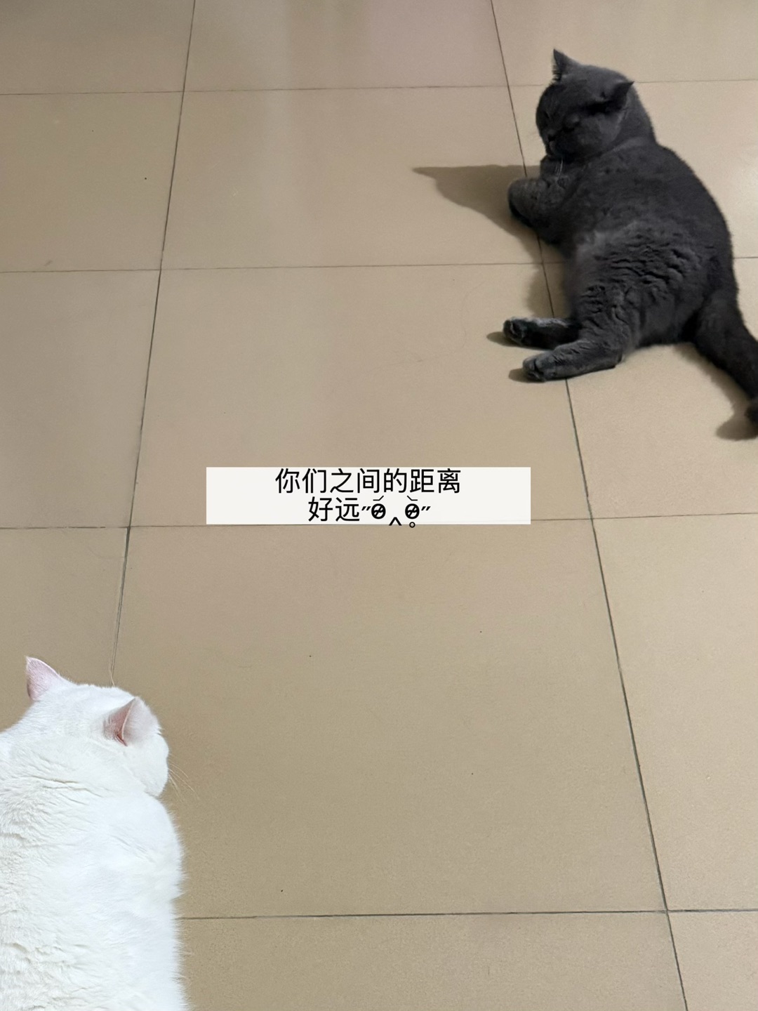 西五街