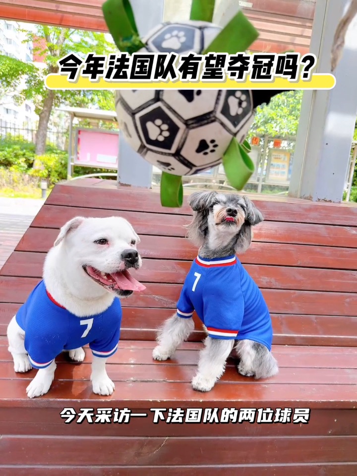 据不可靠消息今年有两位新球员空降法国队