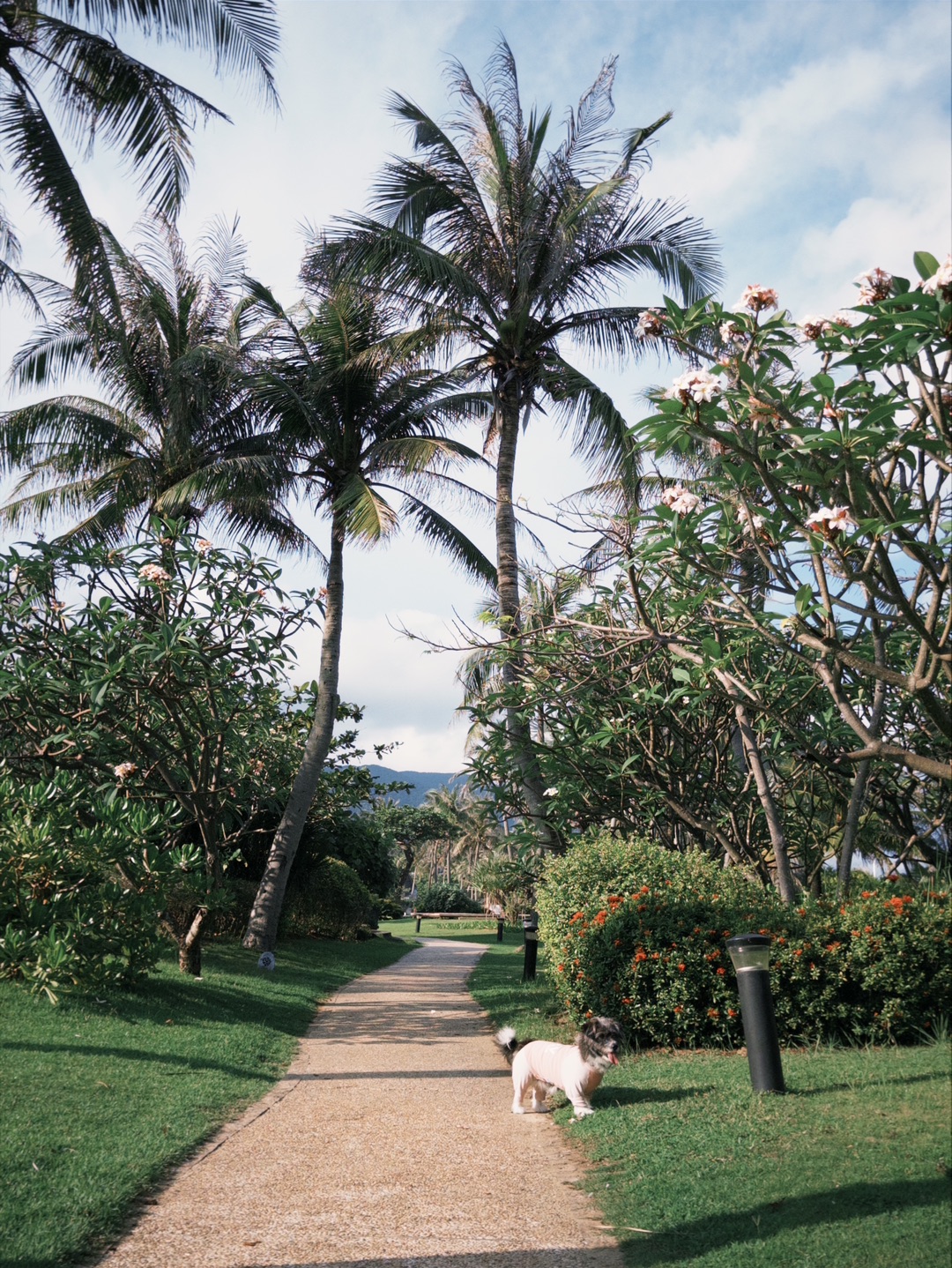 阳光沙滩🏝️