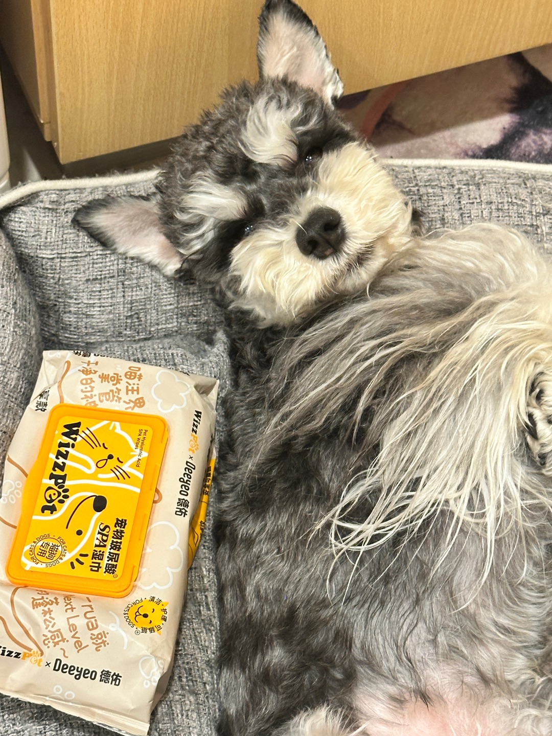 德佑居然出宠物湿巾啦