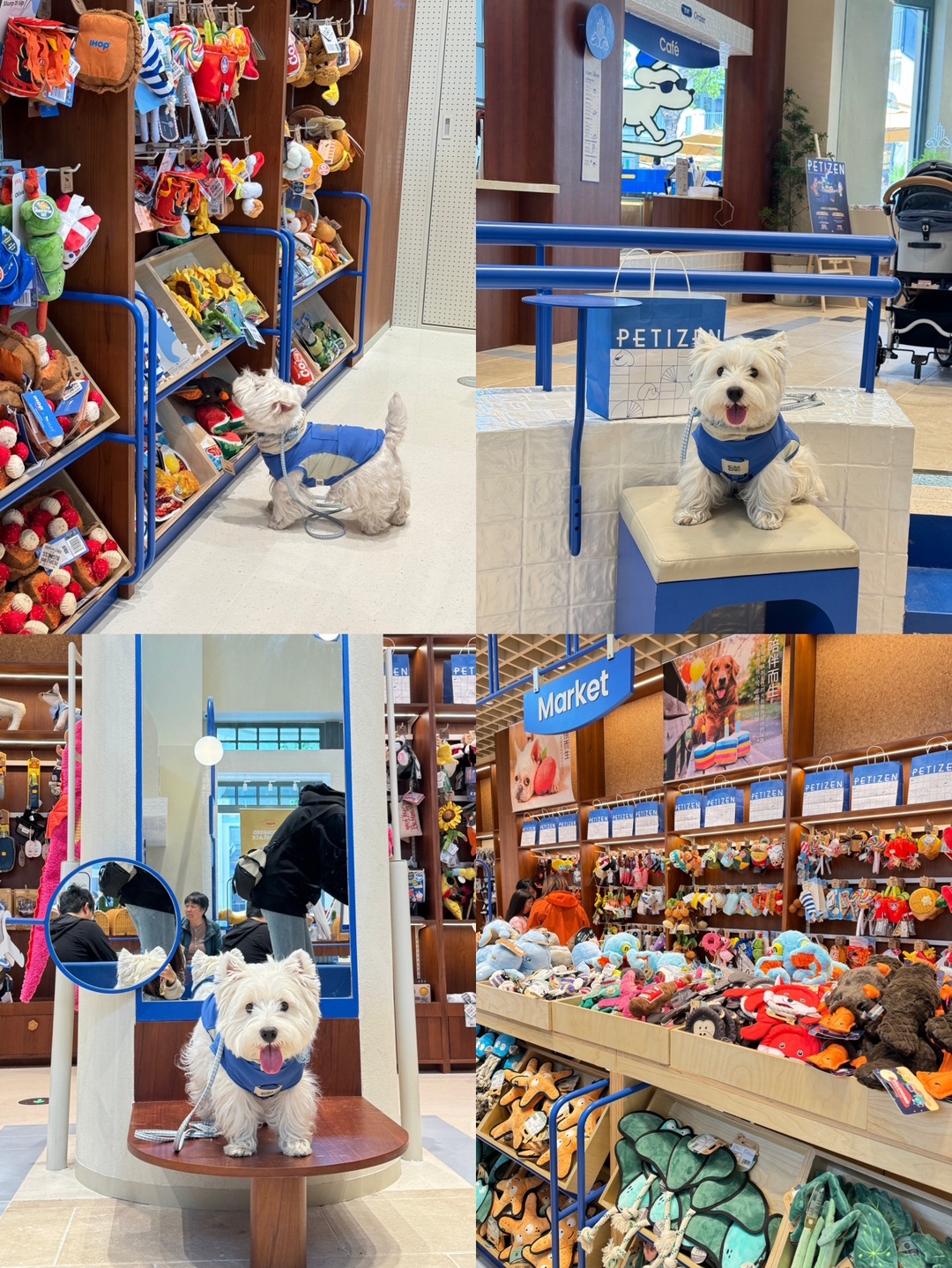 苏州比斯特新店！毛孩子都不白来！🦮🛒🛍