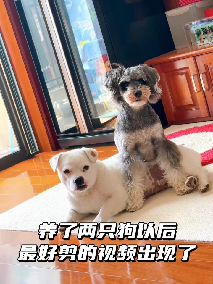 不是在劝架就是在劝架的路上
