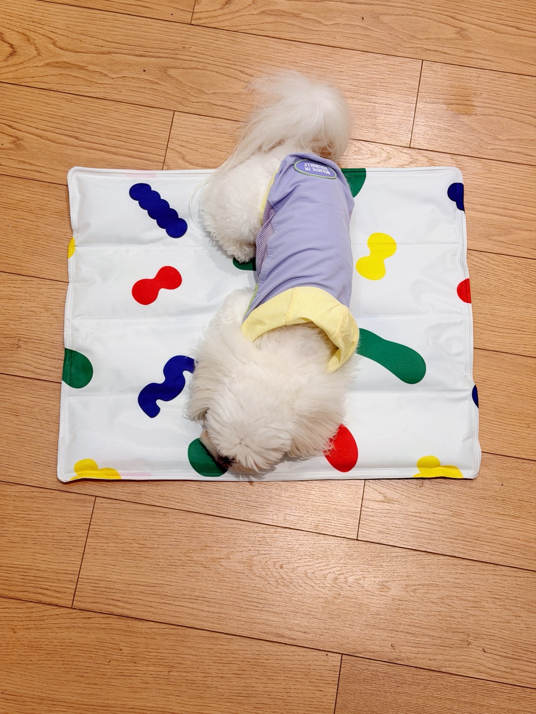 西五街