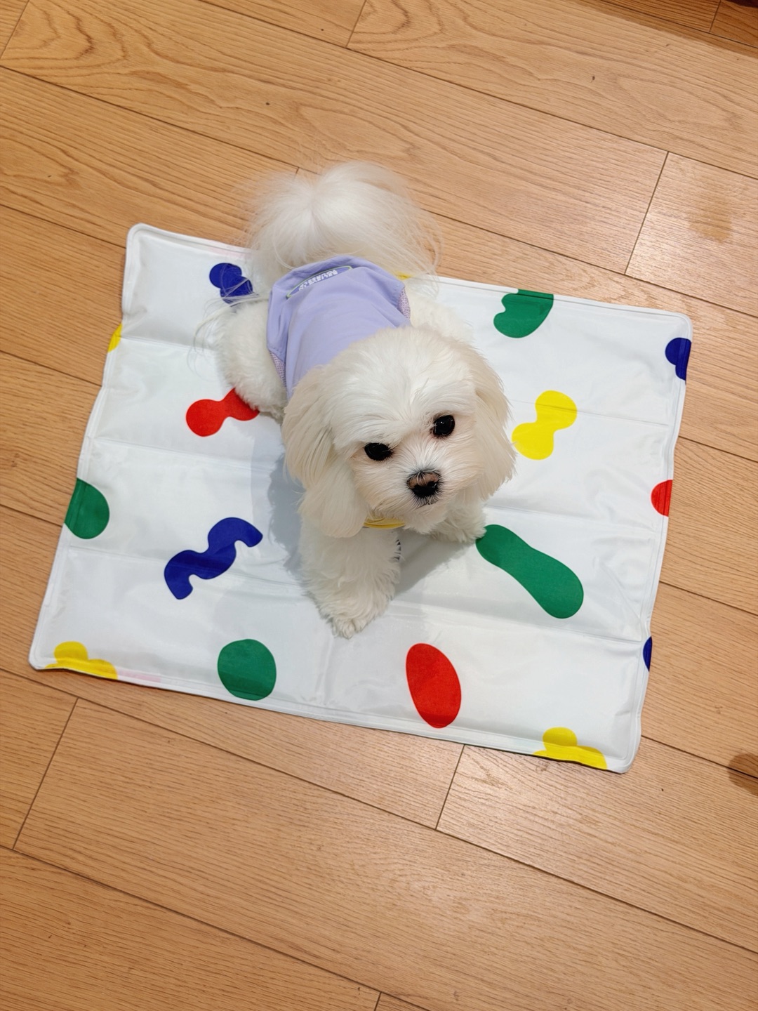西五街