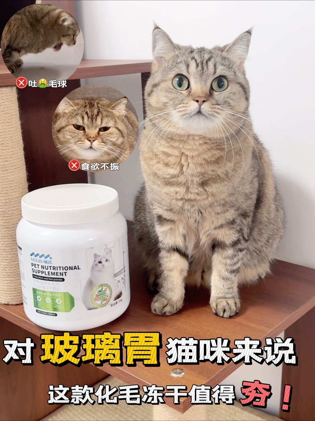 对玻璃胃猫咪来说，这款化毛冻干值得夯！！
