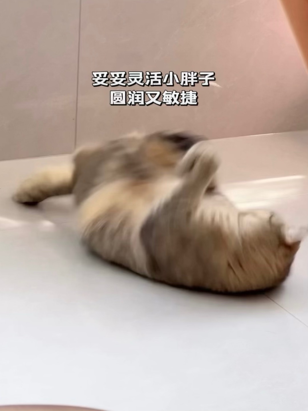 西五街