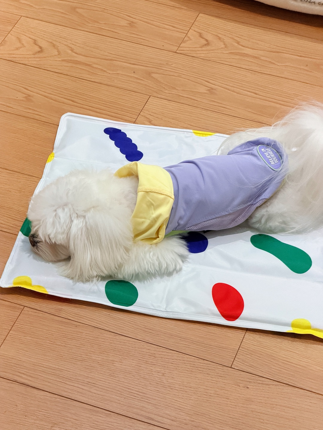 西五街