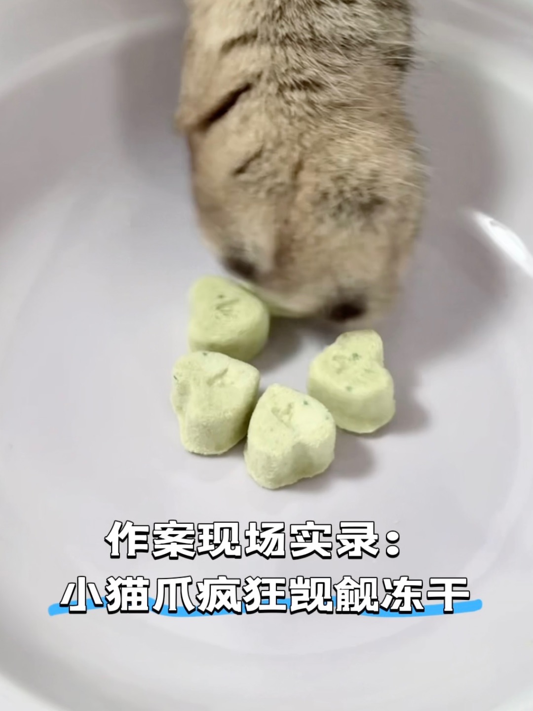 西五街