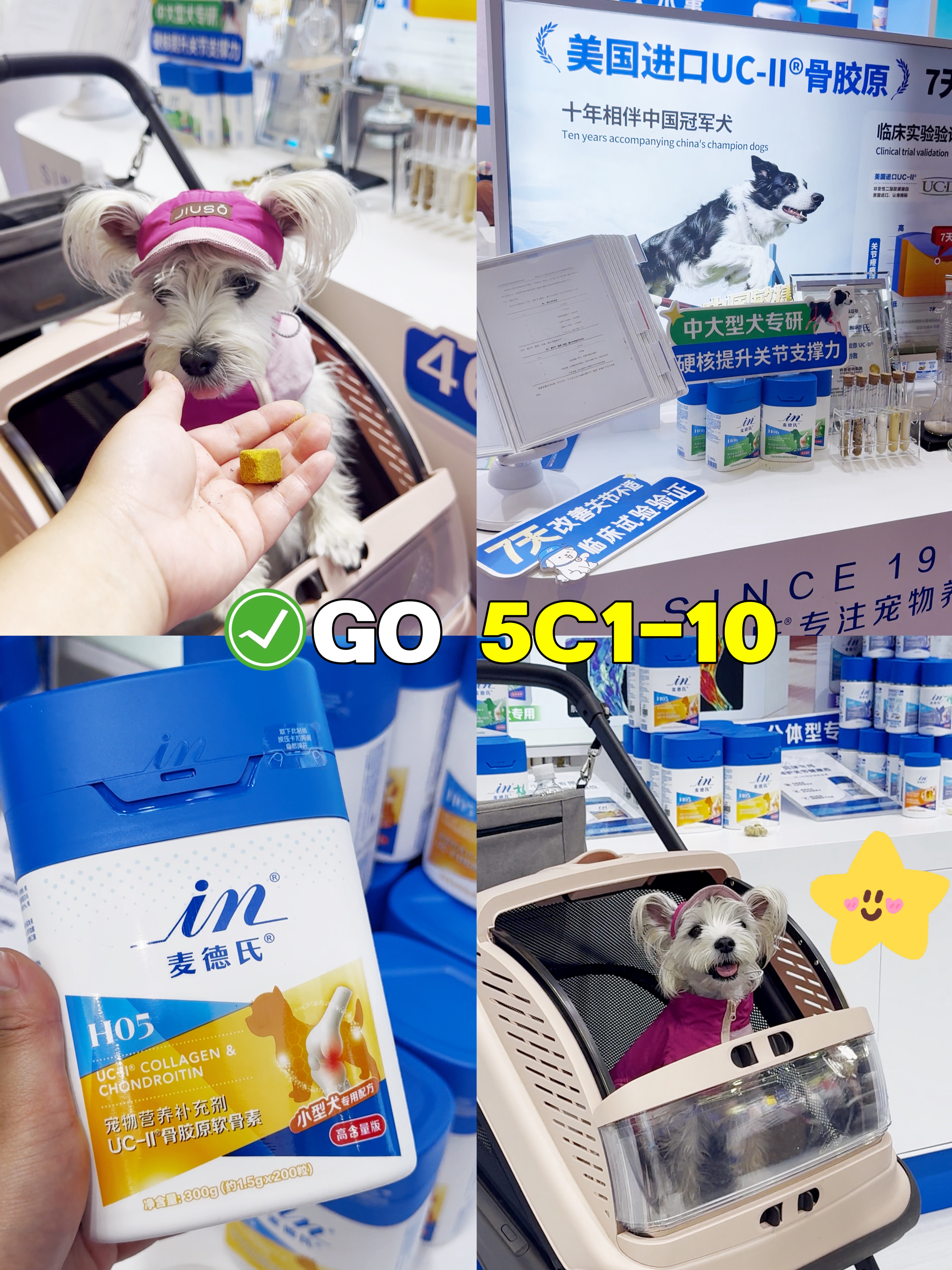 发愁狗狗髌骨问题？它博会小型犬必逛展位!
