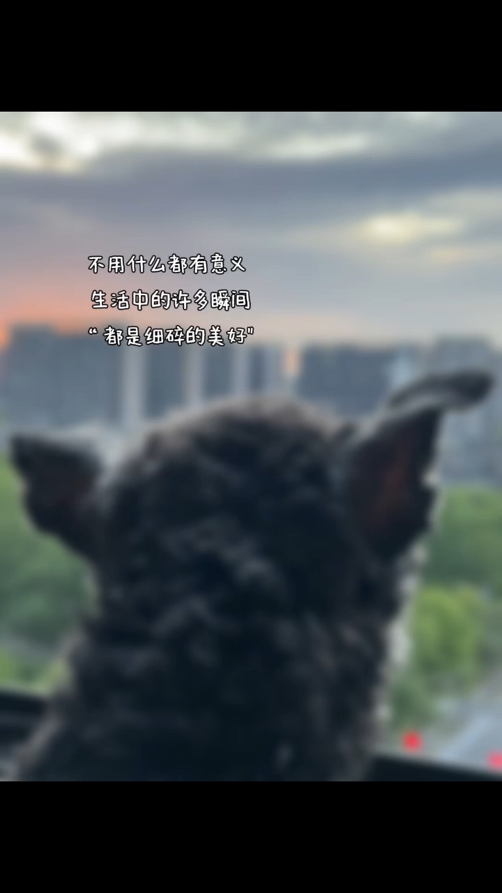 养狗的意义