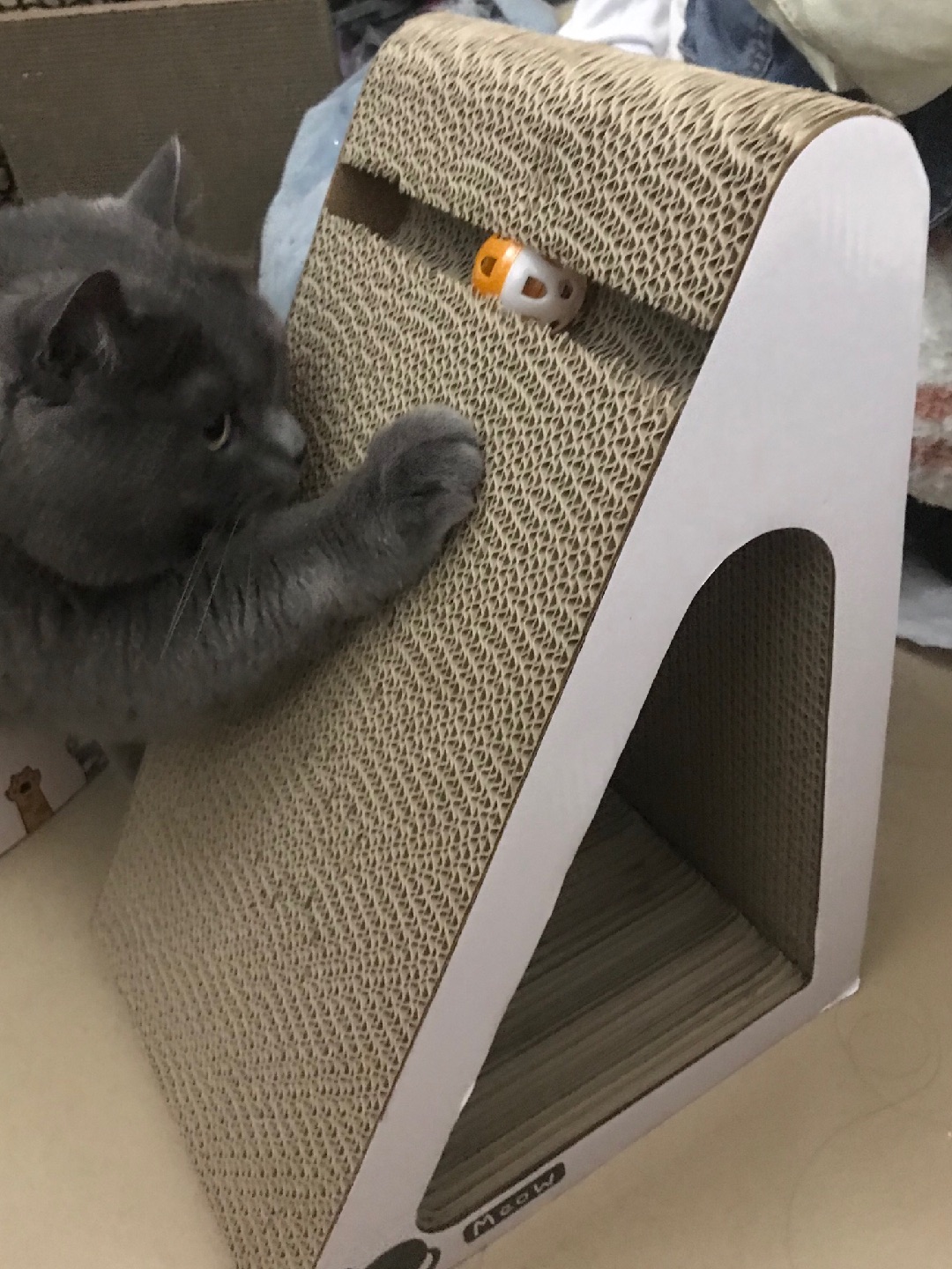 嬉皮狗立式猫抓板测评📝
