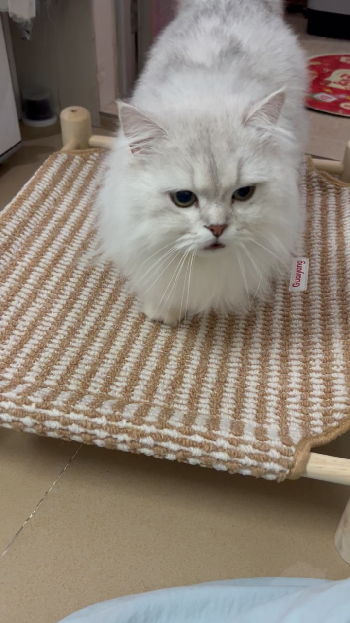 小木床测评