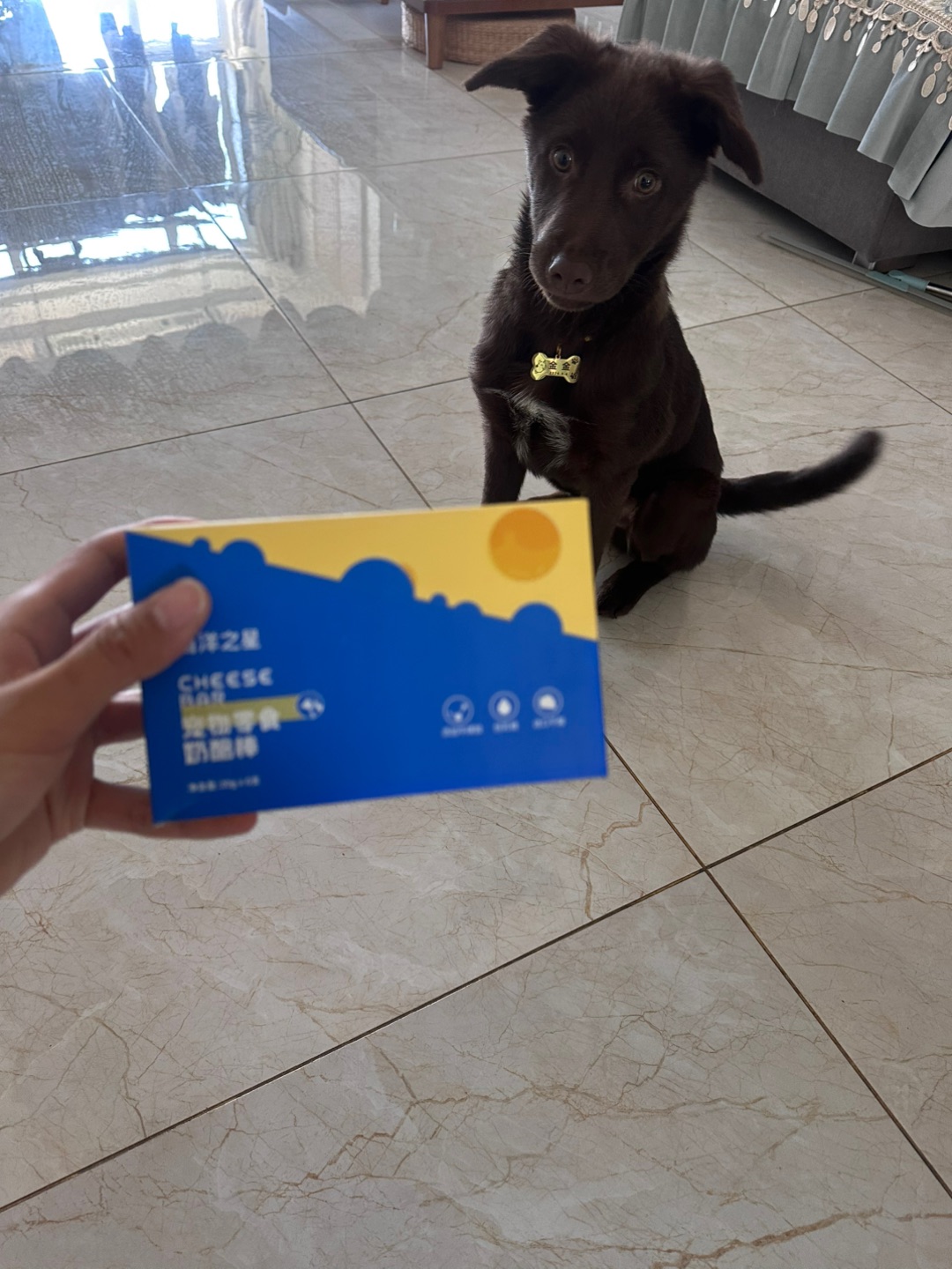 海洋之星奶酪棒测评/测评毛孩子真的狂爱吃