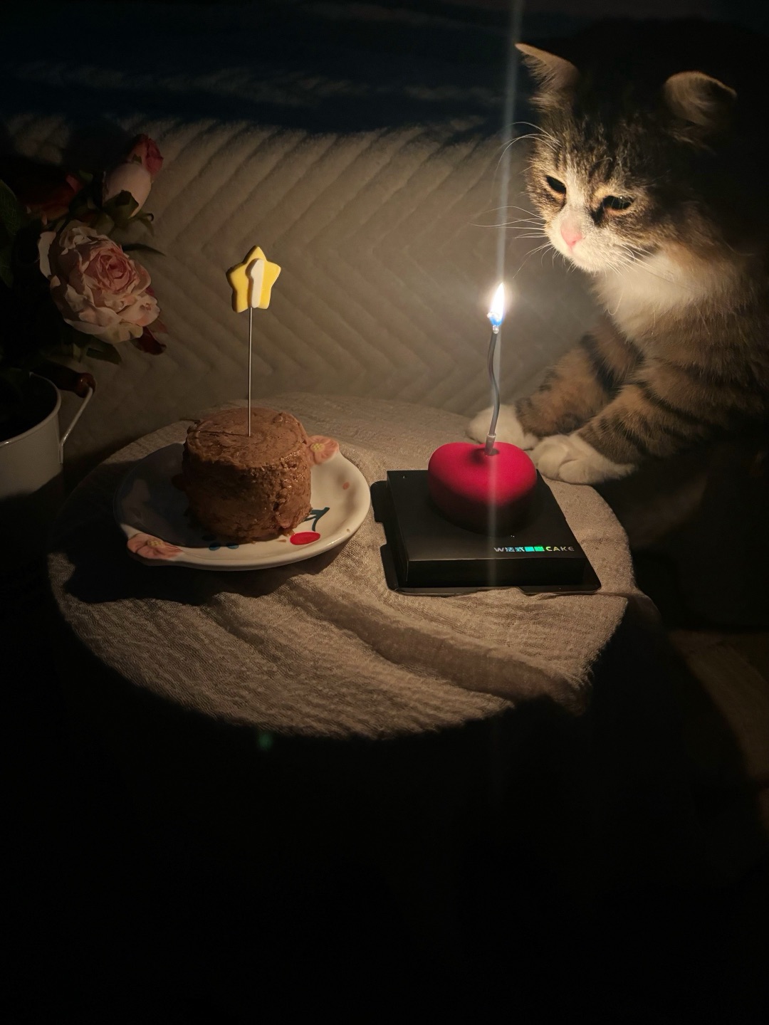 ヽ(^0^)ノ(*´▽｀)ノノ( ´ ▽ ` )ノ(^o^)／Hi~ o(*￣▽￣*)ブ