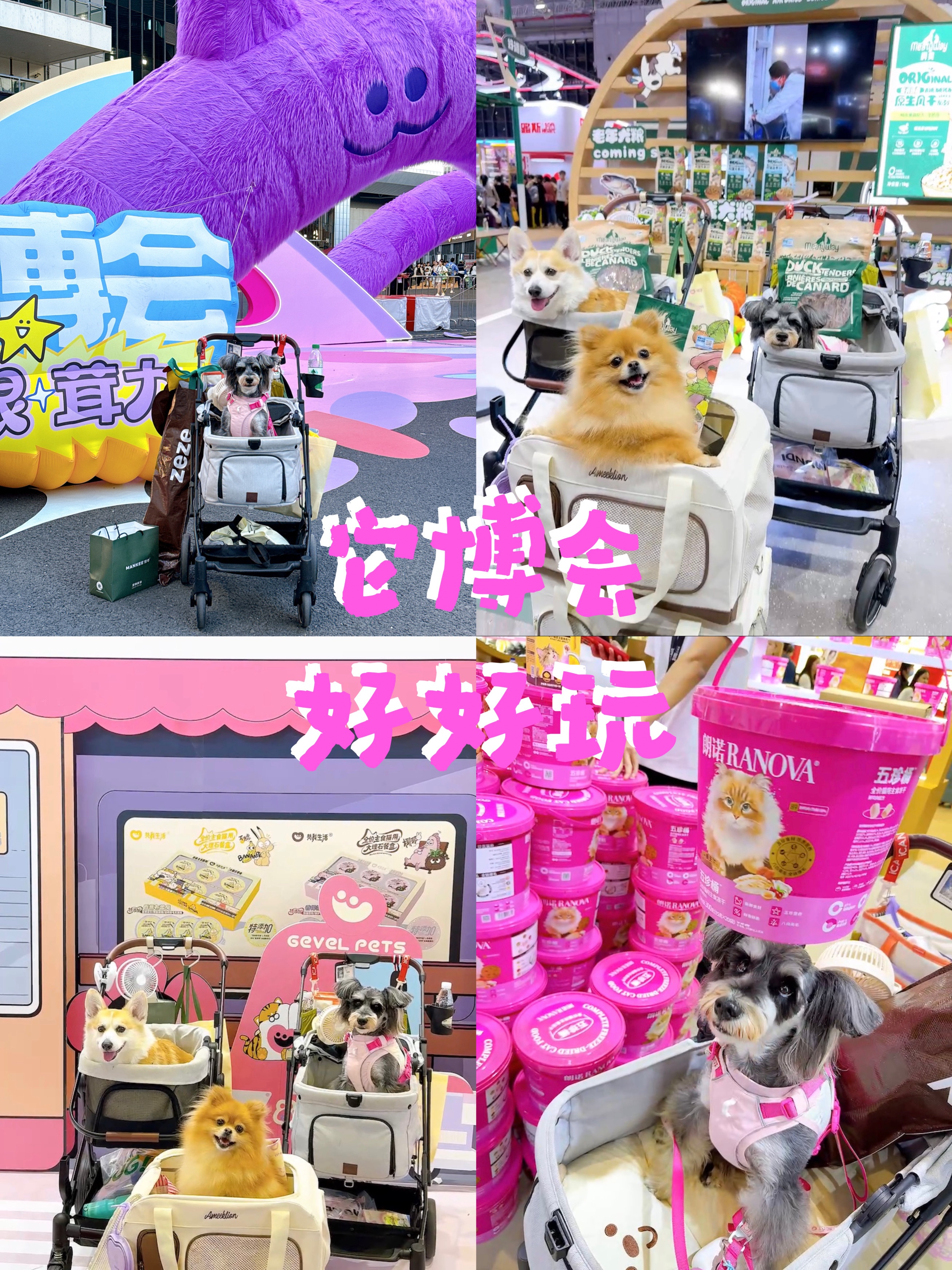 小狗严选-它博会好吃好玩的展台