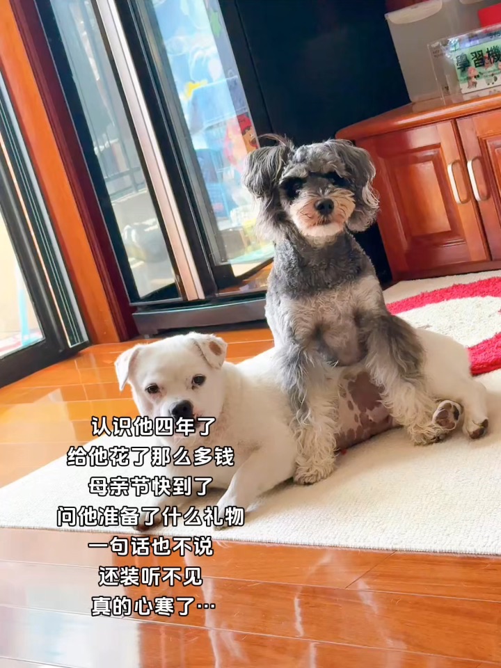 送我很多噗噗和臭屁