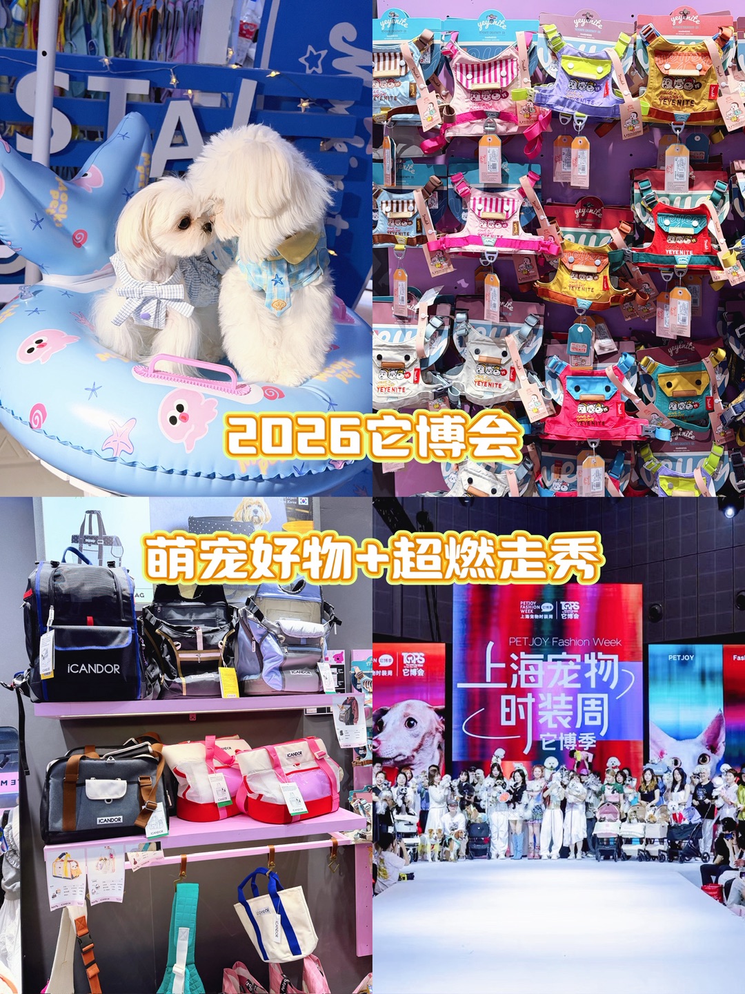 2026它博会｜带抱抱逛展，被萌化的快乐合集✨