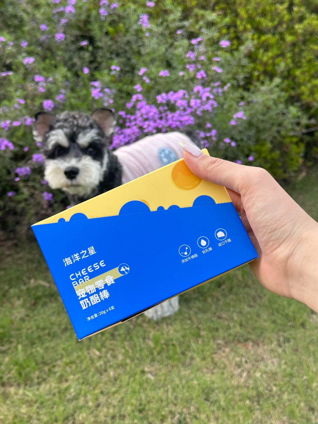 西五街